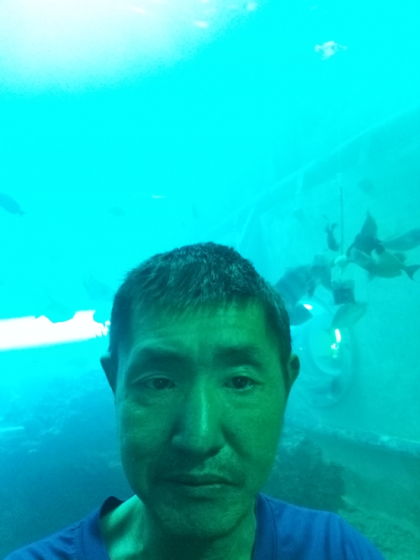 陸戰隊的第一张照片--临沂相亲服务中心