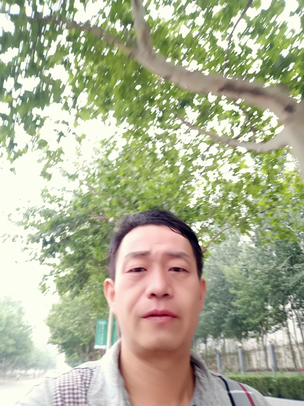 阳光的第一张照片--临沂相亲服务中心