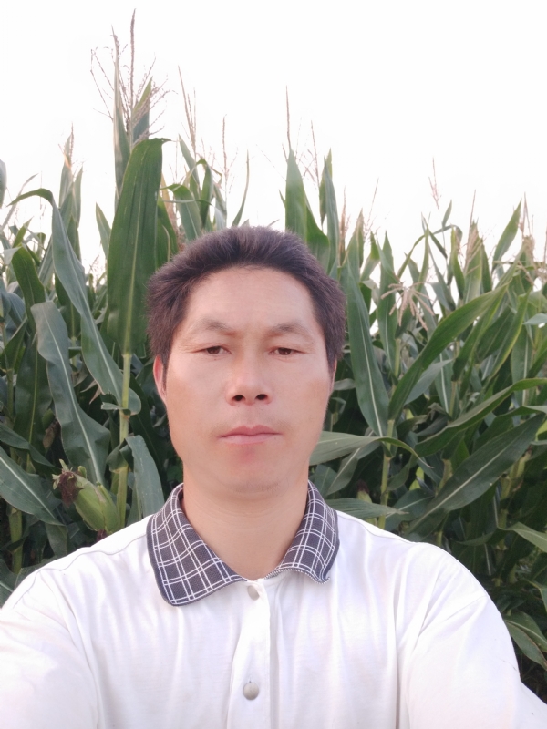 四海游龙的第一张照片--临沂相亲服务中心