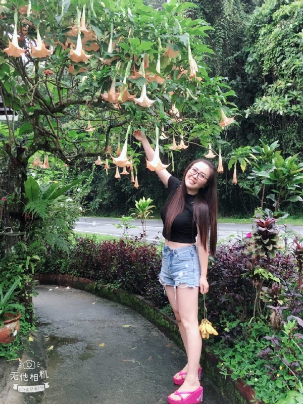 离异单身无子的第二张照片--临沂相亲服务中心