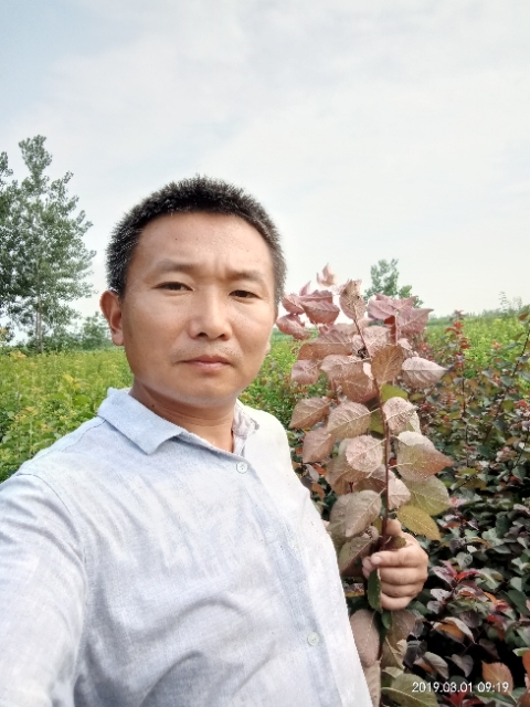 孩子爸的第一张照片--临沂相亲服务中心