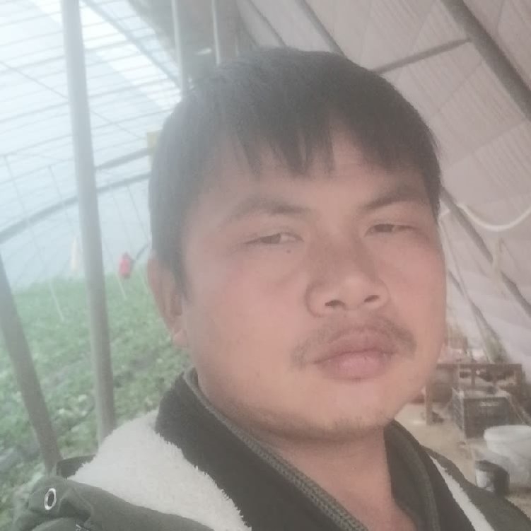 孤狼‘的第一张照片--临沂相亲服务中心