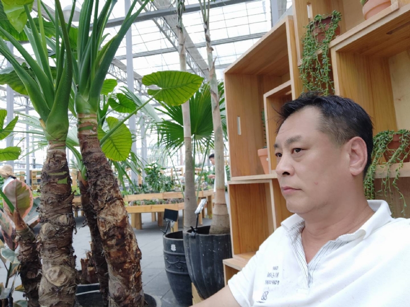 davidxy669988的第一张照片--临沂相亲服务中心