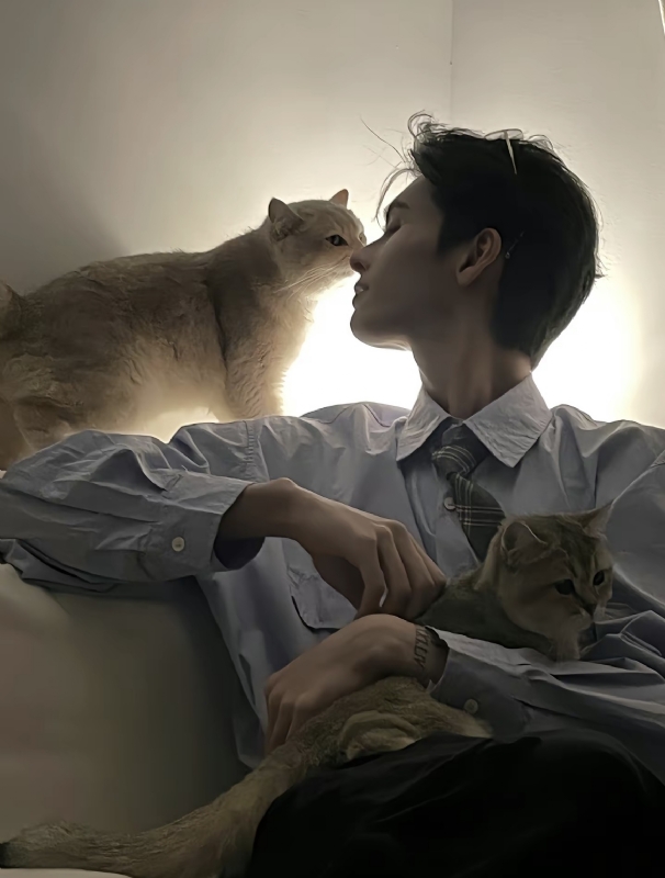 怪猫的第一张照片--临沂相亲服务中心