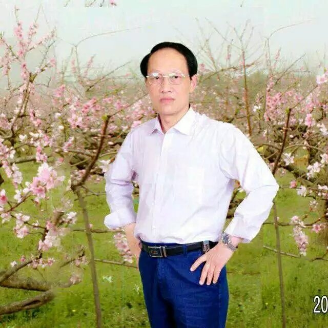 枫叶的第一张照片--临沂相亲服务中心