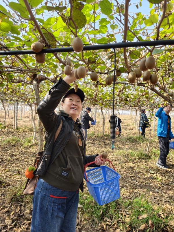夜莺的第四张照片--临沂相亲服务中心
